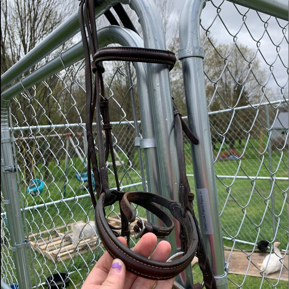 Horse Bridle